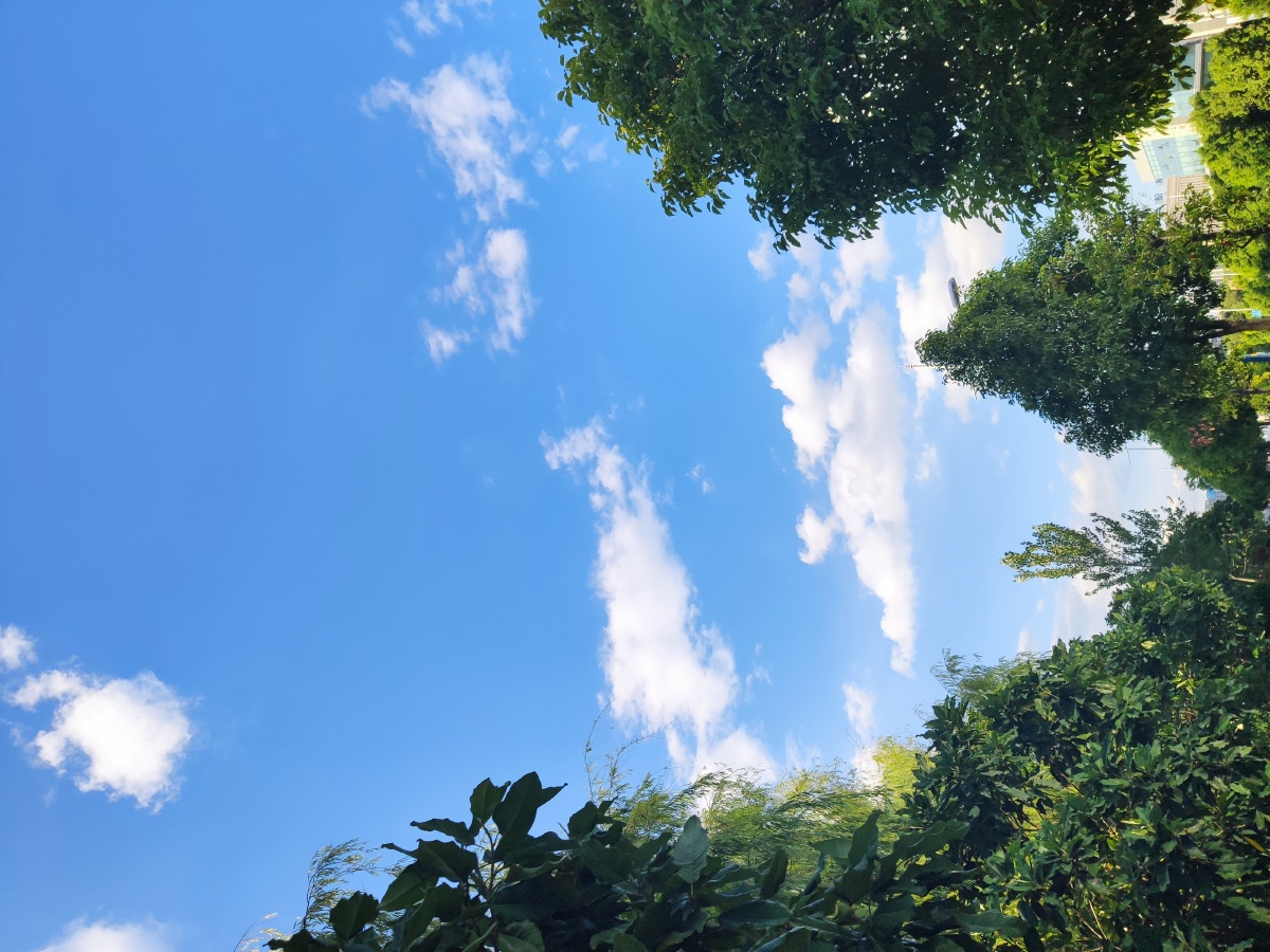 天气晴朗空气新鲜生活有所期待