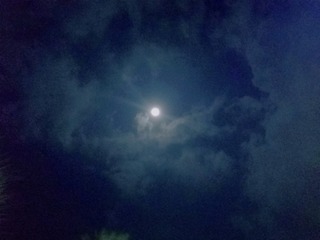 3546261