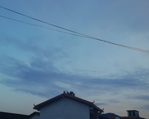 3546176