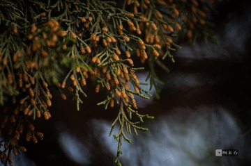 9768F5A6-26D3-4CEE-8FA0-50F20DD06939/L0/001