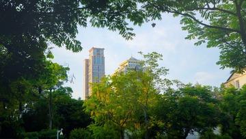 11255B72-B155-4A26-87B5-EA7DBA00FA15/L0/001