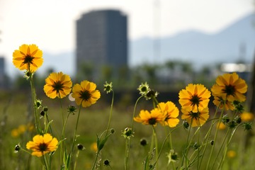 1281856