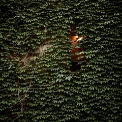 _DSC9997.jpg