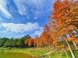 6D0B1184-89B7-431E-9339-34B4438CB792/L0/001