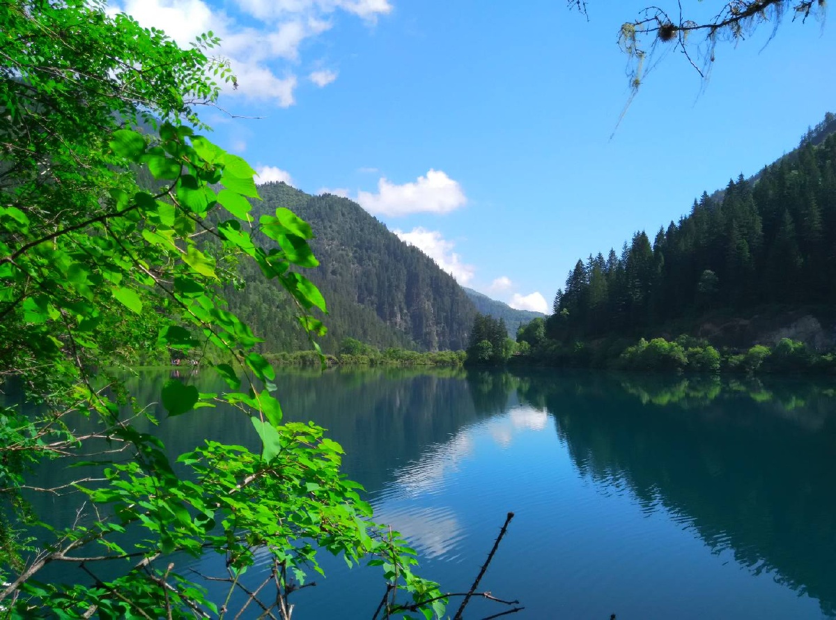 九寨归来不看水九寨沟真的不是浪得虚名这是2015年去九寨沟拍的风景照