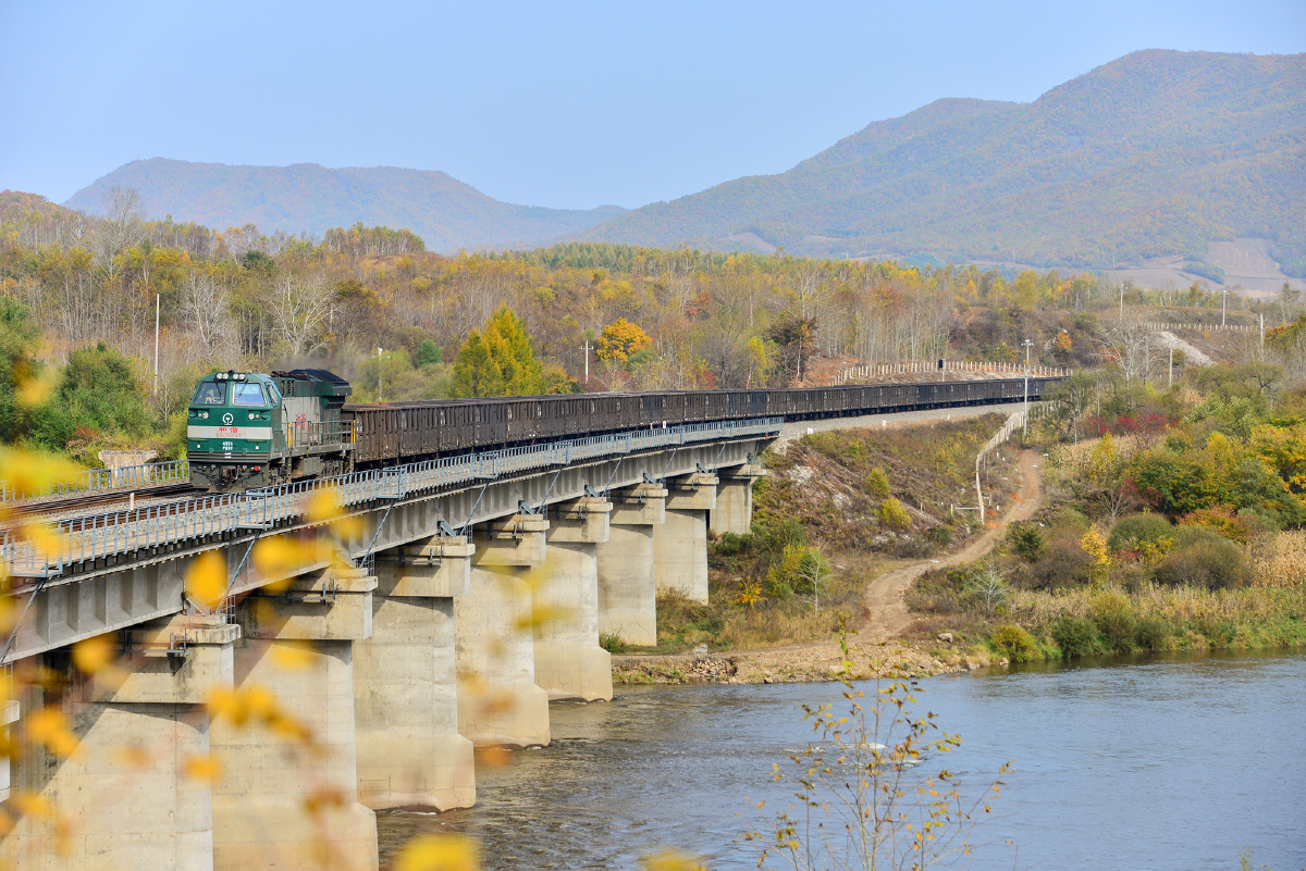 绥佳魂2016之永林威岭