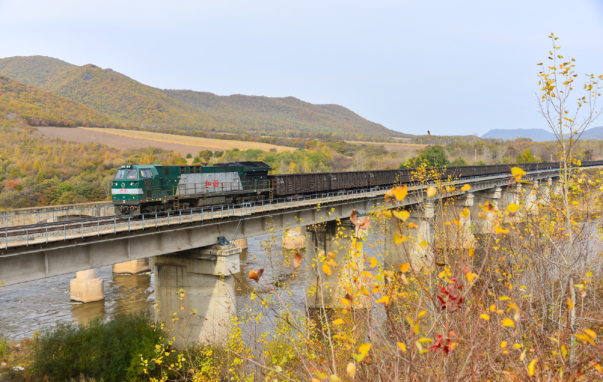 绥佳魂2016之永林威岭