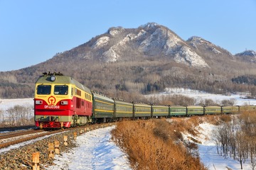 XSY_1329