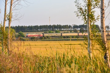 XSY_2028