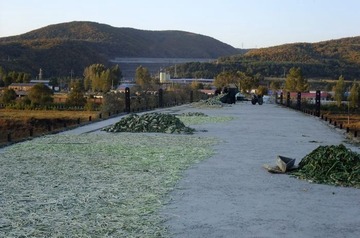 DSCF6456.jpg