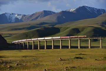 DSC_0536.jpg
