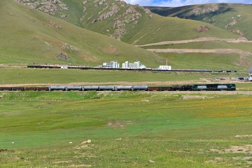 DSC_0103.jpg
