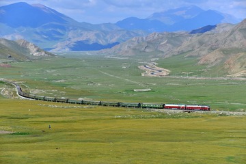 DSC_0175.jpg