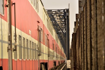 _DSC8985