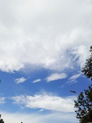 3280030
