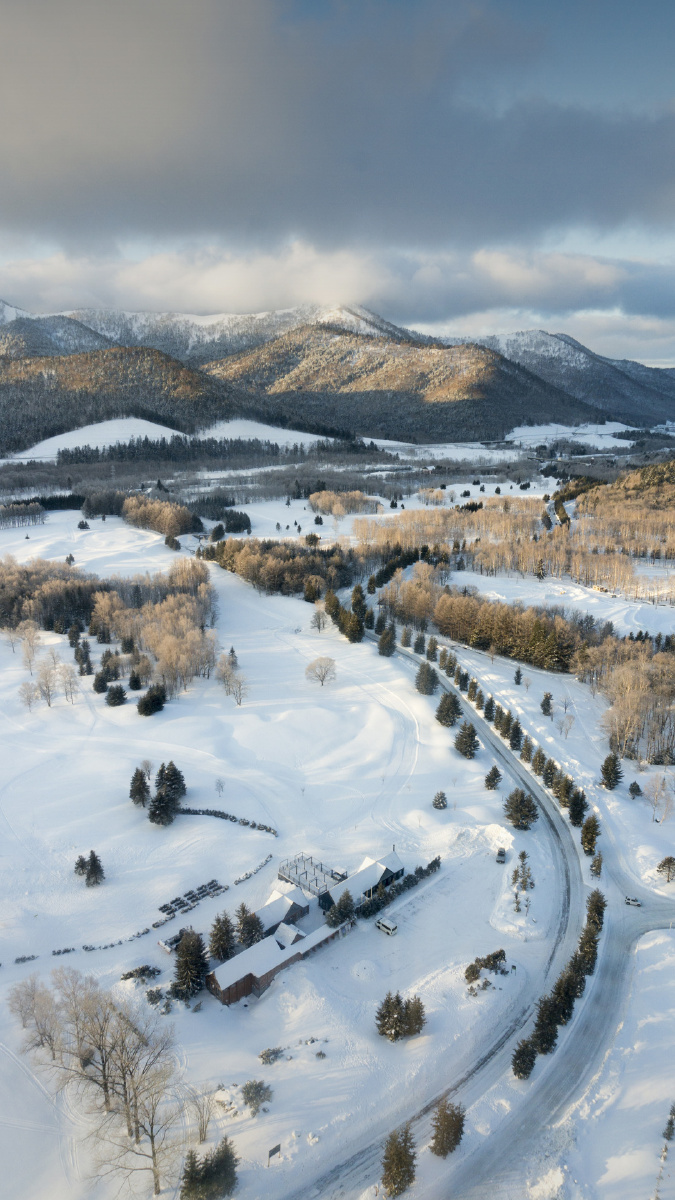 下雪了天气好美啊就是有点冷