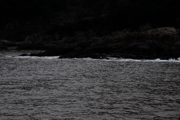 B1ED9A42-F145-4D1C-A822-D7F52CB7577A/L0/001