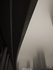 IMG_2483.jpg