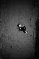 IMG_8688.JPG