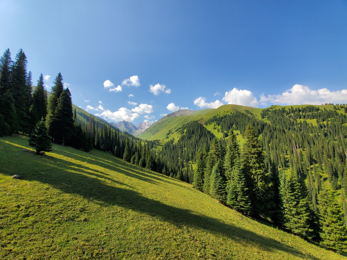 那拉提国家森林公园