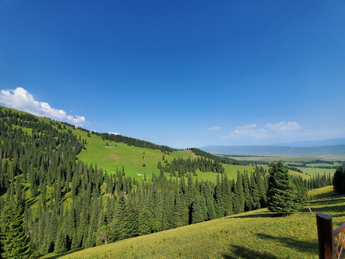 那拉提国家森林公园