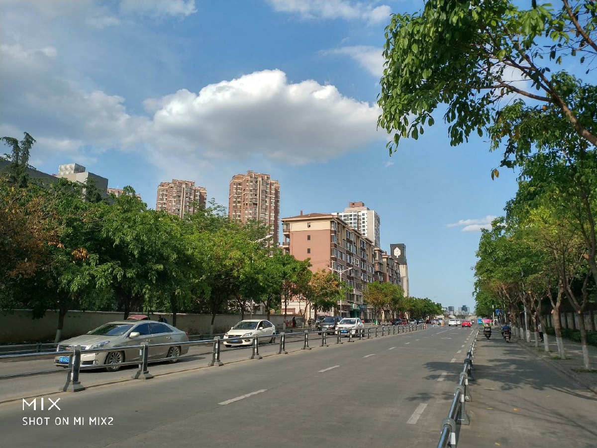 阳光街景