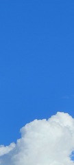1000010046