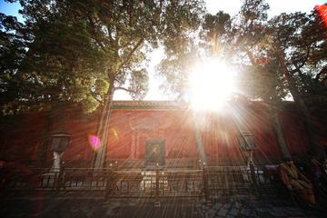 IMG_6555 1.jpg