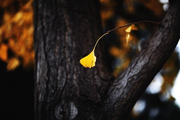 IMG_9504 1.jpg