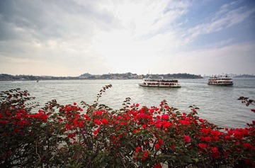 IMG_0731s.jpg