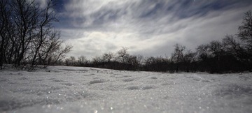 IMG_8975.JPG