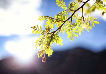 IMG_7224 12.jpg