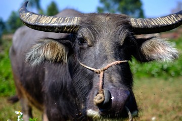 DSCF9414.jpg