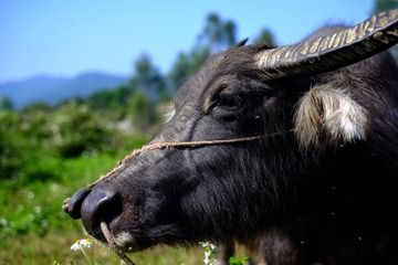 DSCF9417.jpg