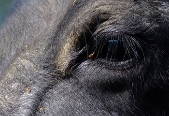 DSCF9417.jpg