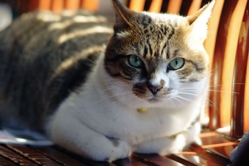 DSCF8699.jpg