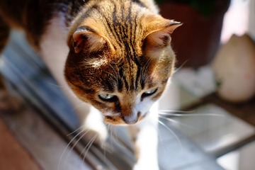 DSCF8730.jpg