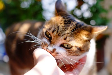 DSCF8733.jpg