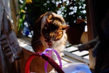 DSCF8739.jpg