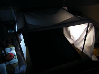 DSCF1061.jpg