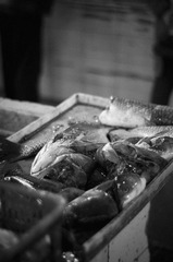 DSC_0136_1.JPG