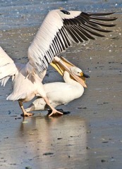 DSC_0113.jpg