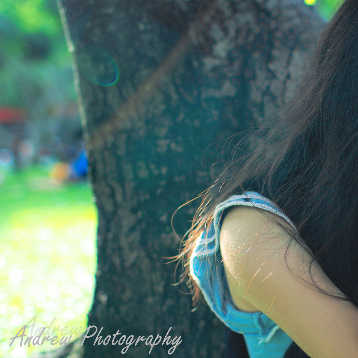 那个夏天的雨季