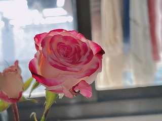 E9517B34-624C-4D82-A60D-FC002DD386D3/L0/001