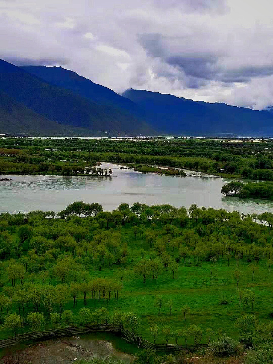 西藏林芝尼洋河风光景区