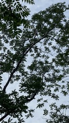 A1578666-298F-4239-9A87-2D5B47BA24A3/L0/001