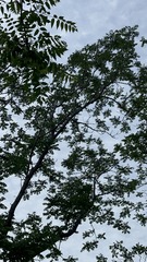 6F28956D-9C96-43A8-A596-2CF91E3A8CA9/L0/001