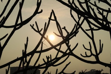 36C77B9E-6C99-40B4-8D4B-0208CC936747/L0/001