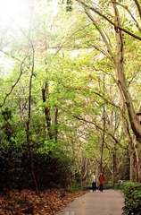 IMGP0978.JPG