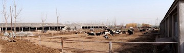 DSC00091.JPG